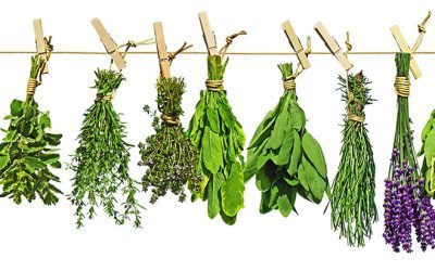 Your menopause toolkit